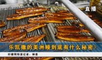 独家爆料重生 网红黑料牛奶秋刀鱼,网红黑料引爆，牛奶秋刀鱼重生之路